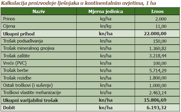 Sadnja lješnjaka isplativost