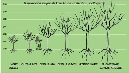 Podloga%20vo%C4%87ki%207.JPG