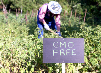 označavanje gmo free proizvoda