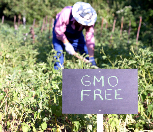 deklaracija alpe adria dunav slobodni od gmo