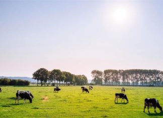 Zakon o izmjenama i dopunama Zakona o poljoprivrednom zemljištu