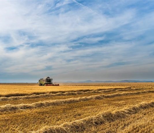 natječaji za zakup državnog poljoprivrednog zemljišta