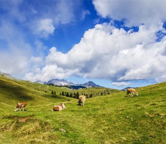 natječaj za lag-ove