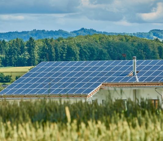Objavljena tri nova natječaja iz Programa ruralnog razvoja tri nova natječaja iz programa ruralnog razvoja