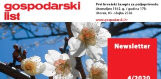 Newsletter 04/2020