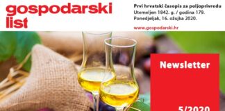Newsletter 05/2020