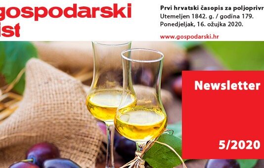 Newsletter 05/2020