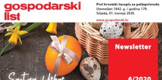 Newsletter 06/2020