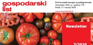 Newsletter 07/2020