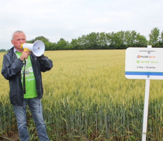 syngenta centralni dan polja