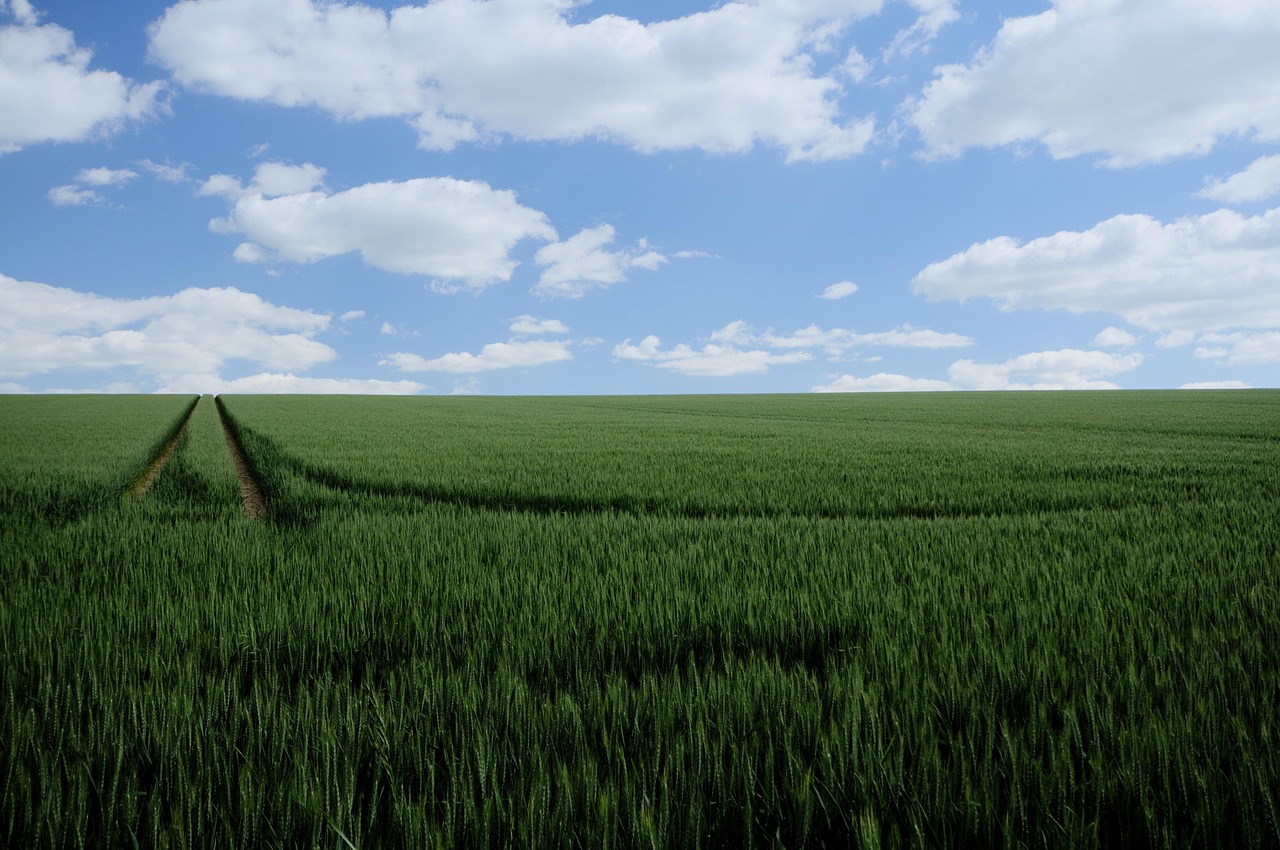 11703009-field-mark-5255928_1280