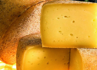 proizvodnja poznatih sireva gorgonzola livanjski sir