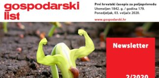 Newsletter 02/2020