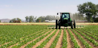 broj poljoprivrednih gospodarstava