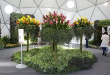 međunarodna vrtna izložba floraart
