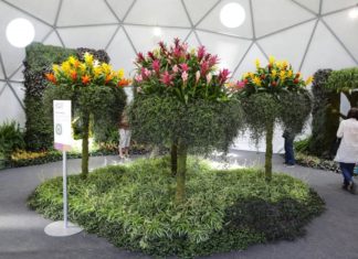 međunarodna vrtna izložba floraart
