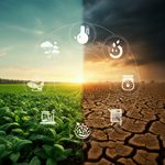 Klimatske promjene mijenjaju pravila igre u ratarstvu – evo kako se prilagoditi