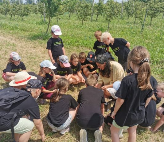Učenici OŠ Vratišinec i OŠ Gornji Mihaljevec na terenskoj nastavi o bioraznolikosti i ekološkom uzgoju hrane ekološki uzgoj hrane
