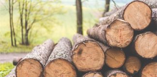 razvoj drvno prerađivačke industrije