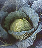 01022005002