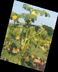 01062007003_1