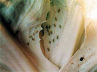 01092008001_2