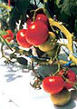 01122004002