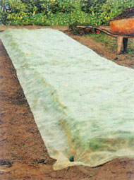 01122009003