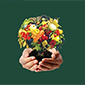 Agrovit_85x85