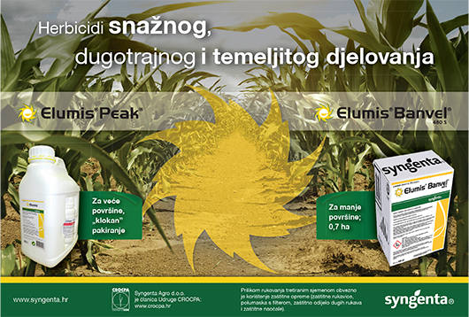 Syngenta 8 2018