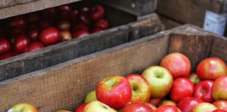 potpore proizvođačima jabuka