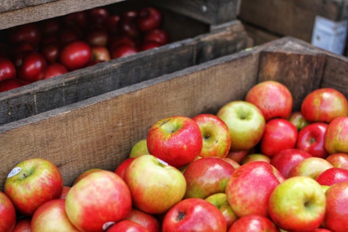 Abundance Apples Close Up 1536365 1 potpore proizvođačima jabuka