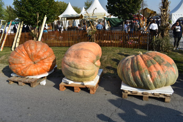 tovarnički festival