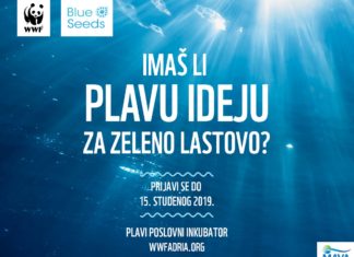 blue lastovo