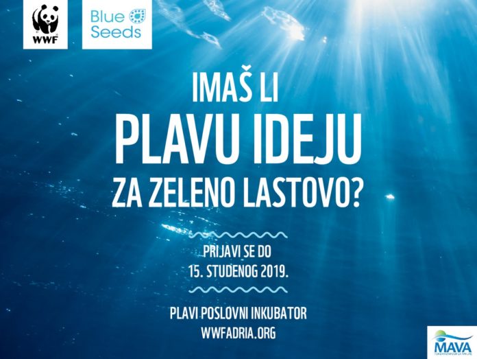 blue lastovo