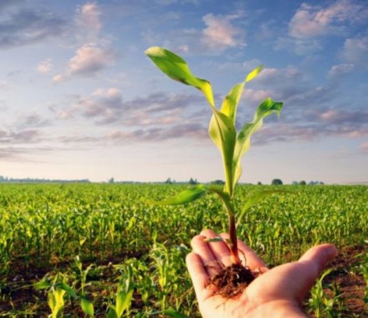 program ruralnog razvoja