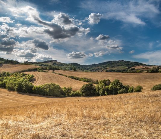 strategiija poljorpivrede i ruralnog razvoja