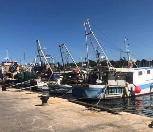 Od ponedjeljka privremena obustava lova na srdele obustava lova na srdele