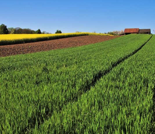 isplata izravnih plaćanja i iaks mjera