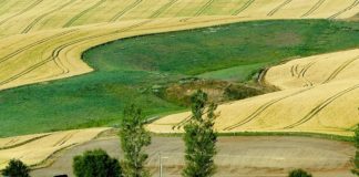 obnova poljoprivrednog potencijala obnova poljoprivrednog zemljišta i proizvodnog potencijala