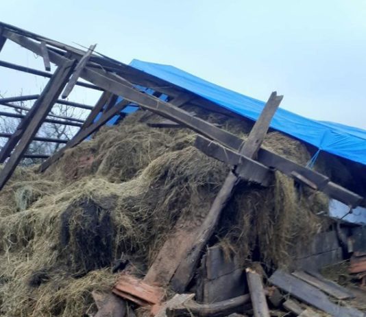 potpore za obnovu poljoprivrednog potencijala narušenog potresom