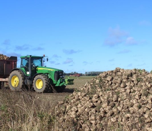 program potpore proizvođačima šećerne repe