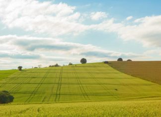 ugovor programi ruralnog razvoja potpore