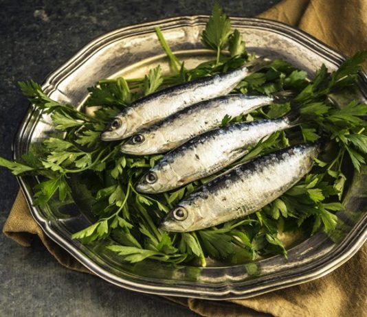 uključenje ribe u školsku prehranu djece