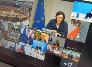 Ministrica Vučković na Vijeću ministara EU zatražila dodatne mjere pomoći za pogođena područja