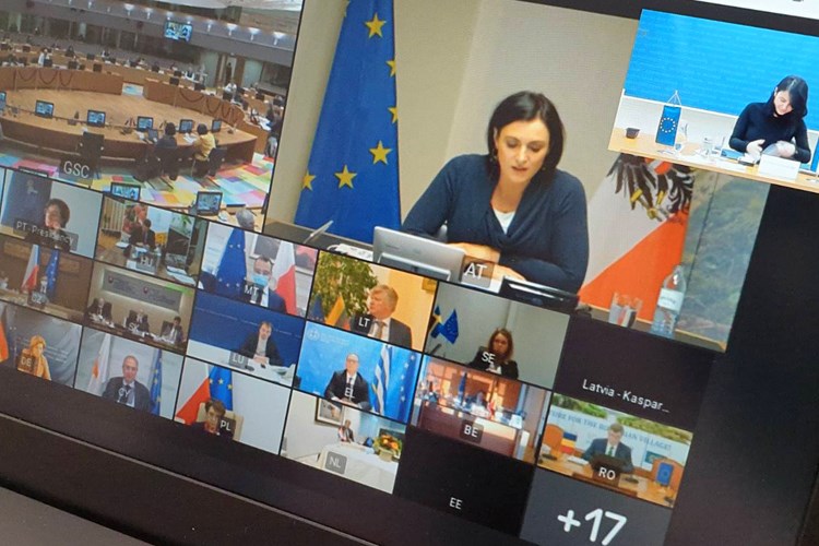 Ministrica Vučković na Vijeću ministara EU zatražila dodatne mjere pomoći za pogođena područja