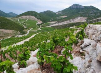 „Ponikve“ postale zaštićena oznaka izvornosti vina na razini EU