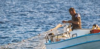 potpore ribarstvu i akvakulturi