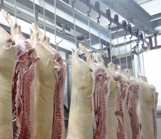 izgradnja i rekonstrukcija malih klaonica