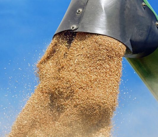 robne rezerve prehrambena sigurnost, rast cijena hrane